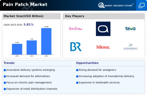 Pain Patch Market Infographic