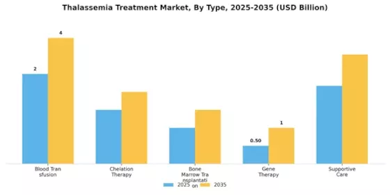 Thalassemia Treatment Market Segment Image 3