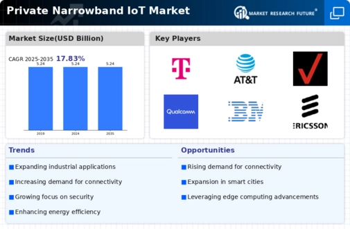 Private Narrowband IoT Market Infographic