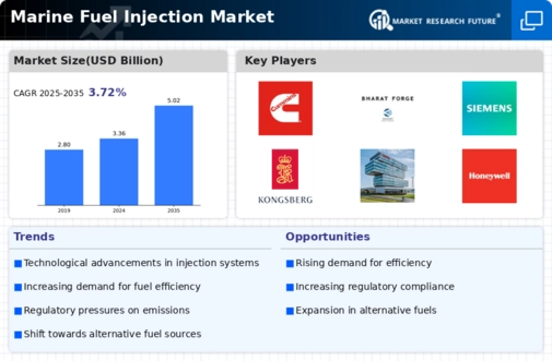Marine Fuel Injection Market Infographic