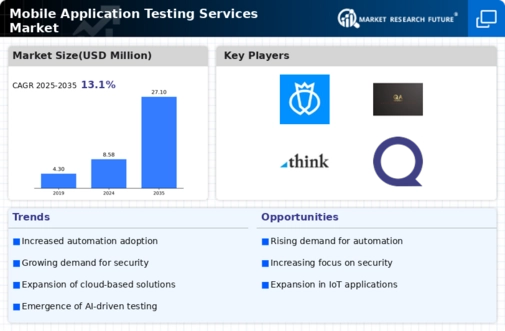 Mobile Application Testing Services Market Infographic