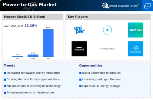 Power Gas Market Infographic