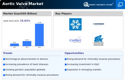 Aortic Valve Market Infographic