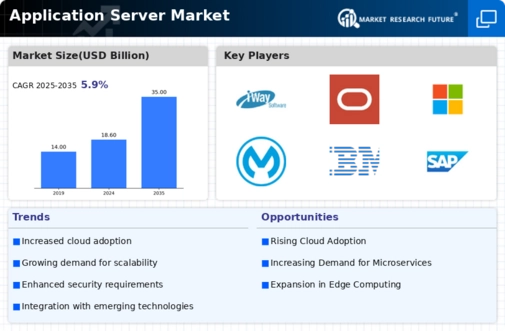 Application Server Market Infographic