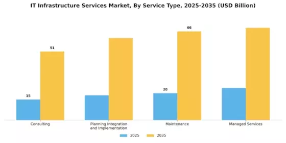 IT Infrastructure Services Market Segment Image 1