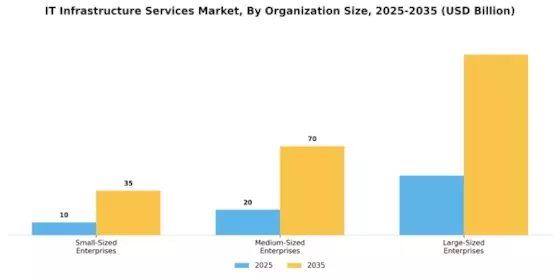IT Infrastructure Services Market Segment Image 2