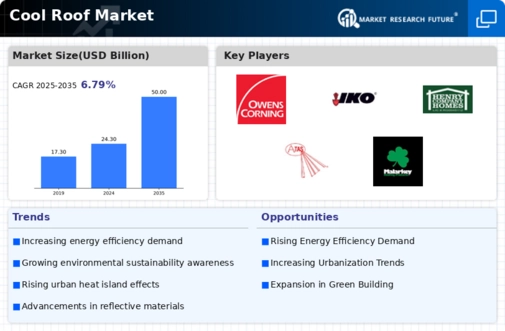Cool Roof Market Infographic
