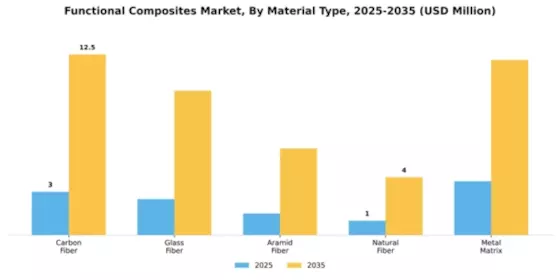 Functional Composites Market Segment Image 4