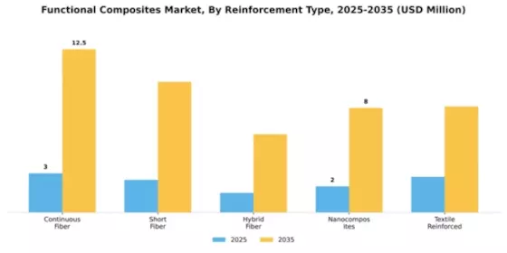 Functional Composites Market Segment Image 4