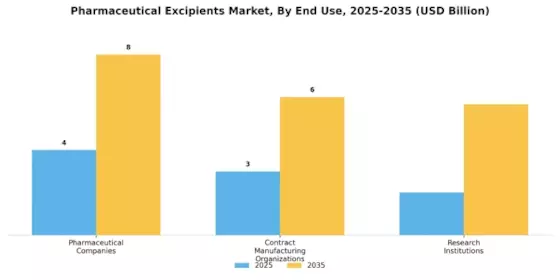 Pharmaceutical Excipients Market Segment Image 3