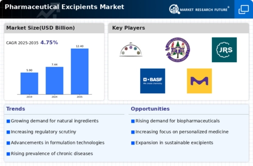 Pharmaceutical Excipients Market Infographic