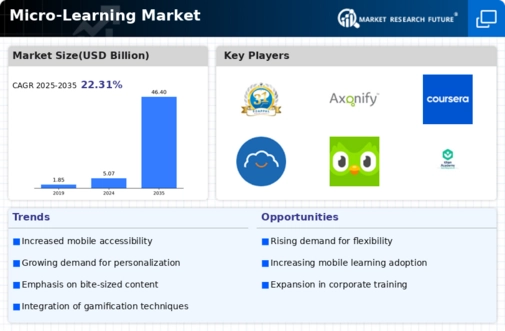 Micro learning Market Infographic