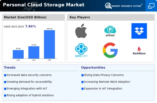 Personal Cloud Storage Market Infographic