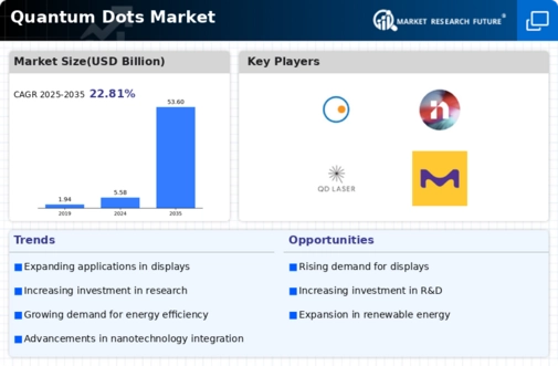 Quantum Dots Market Infographic