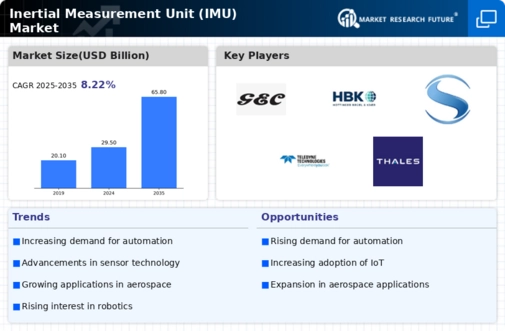 Inertial Measurement Unit Market Infographic