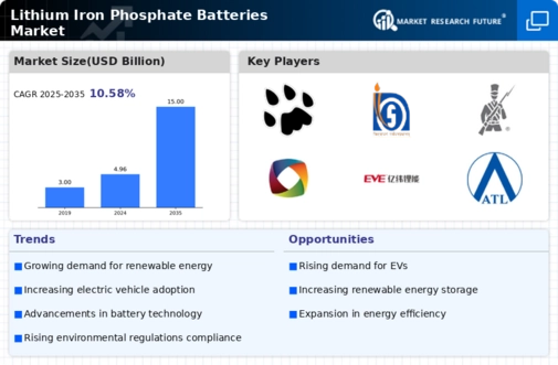 Lithium Iron Phosphate Batteries Market Infographic
