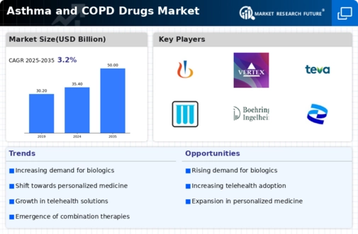 Asthma COPD Drugs Market Infographic
