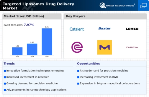 Targeted Liposomes Drug Delivery Market Infographic