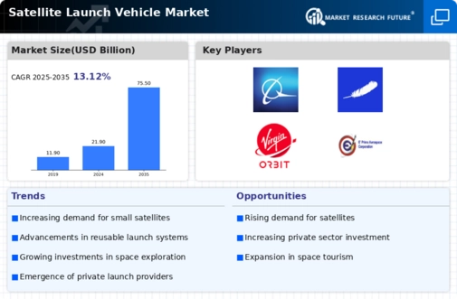 Satellite Launch Vehicle Market Infographic