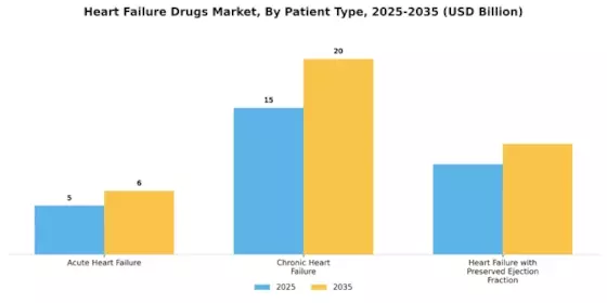 Heart Failure Drugs Market Segment Image 3