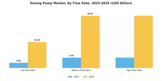 Dosing Pump Market Segment Image 2