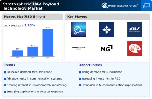 Stratospheric UAV Payload Technology Market Infographic