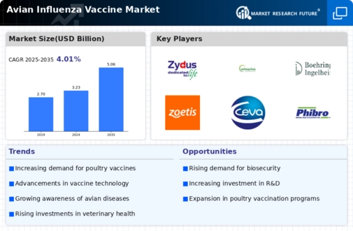 Avian Influenza Vaccine Market Infographic