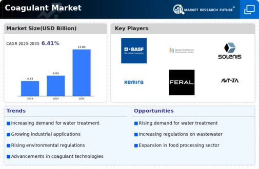 Coagulant Market Infographic