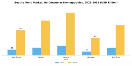 Beauty Tools Market Segment Image 1