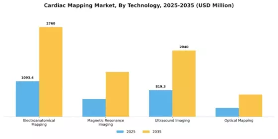 Cardiac Mapping Market Segment Image 2