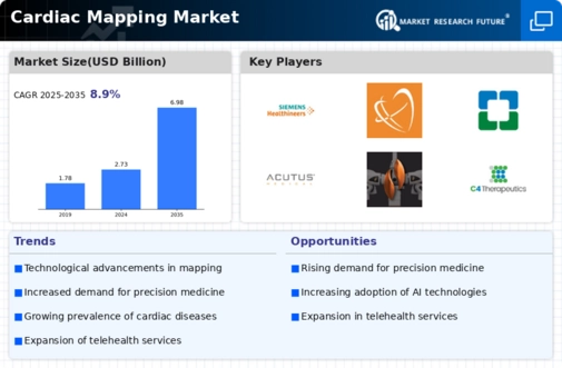 Cardiac Mapping Market Infographic