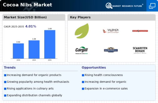 Cocoa Nibs Market Infographic