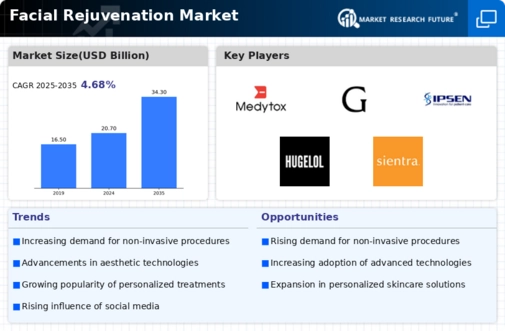Facial Rejuvenation Market Infographic