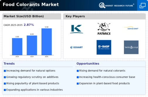 Food Colorants Market Infographic