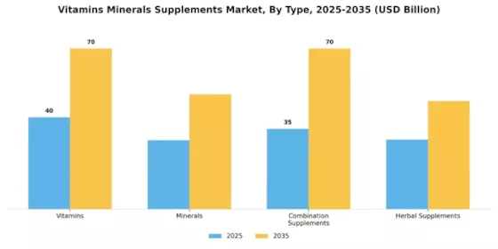 Vitamin Mineral Supplements Market Segment Image 0