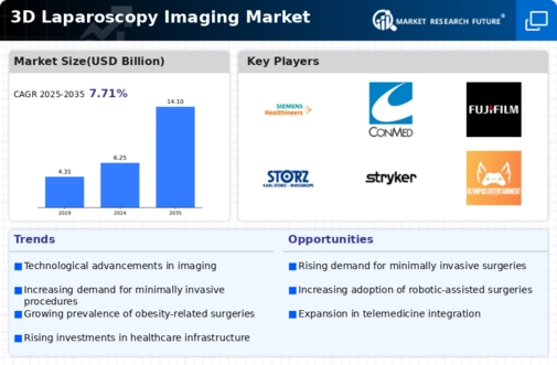 3D Laparoscopy Imaging Market Infographic