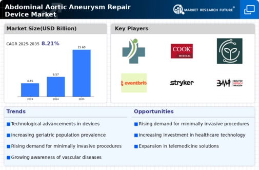 Abdominal Aortic Aneurysm Repair Devices Market Infographic