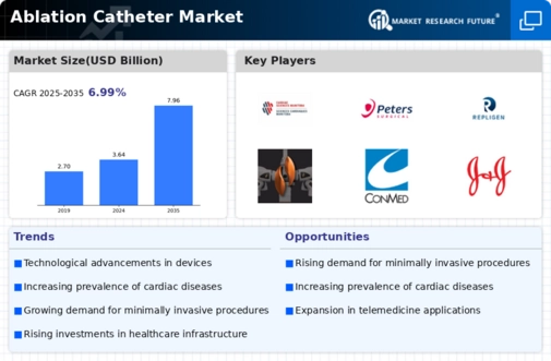 Ablation Catheters Market Infographic