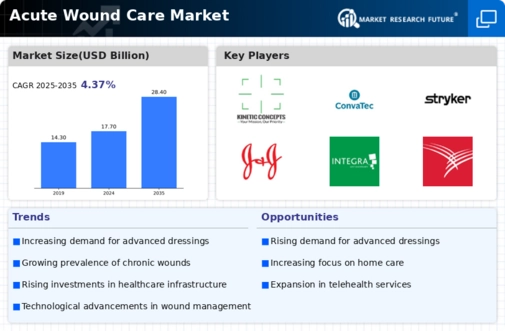 Acute Wound Care Market Infographic
