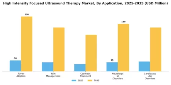 High Intensity Focused Ultrasound Therapy Market Segment Image 0