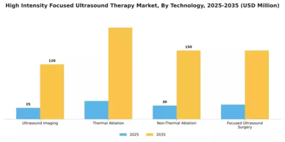 High Intensity Focused Ultrasound Therapy Market Segment Image 4