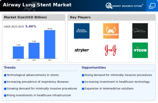 Airway Lung Stent Market Infographic