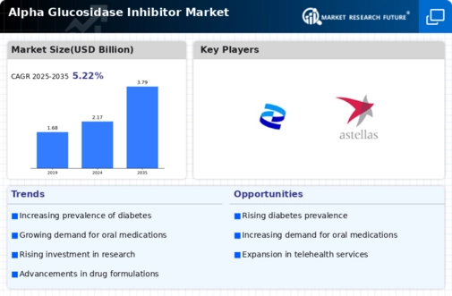Alpha Glucosidase Inhibitors Market Infographic