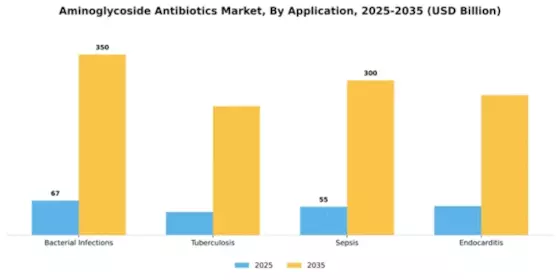 Aminoglycoside Antibiotics Market Segment Image 0