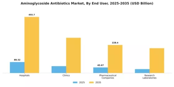 Aminoglycoside Antibiotics Market Segment Image 1