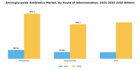 Aminoglycoside Antibiotics Market Segment Image 3