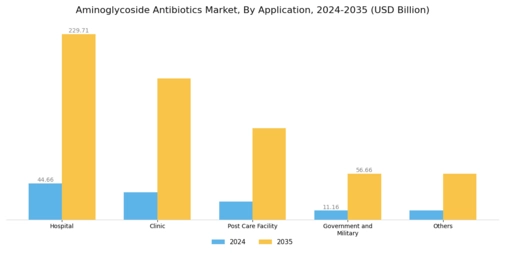 Aminoglycoside Antibiotics Market Segment Image 1