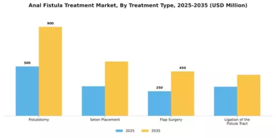 Anal Fistula Treatment Market Segment Image 4