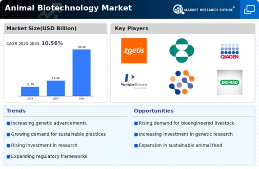 Animal Biotechnology Market Infographic