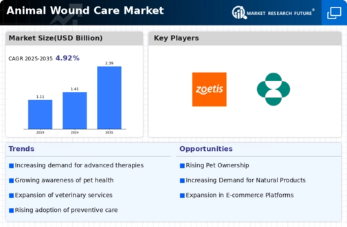 Animal Wound Care Market Infographic